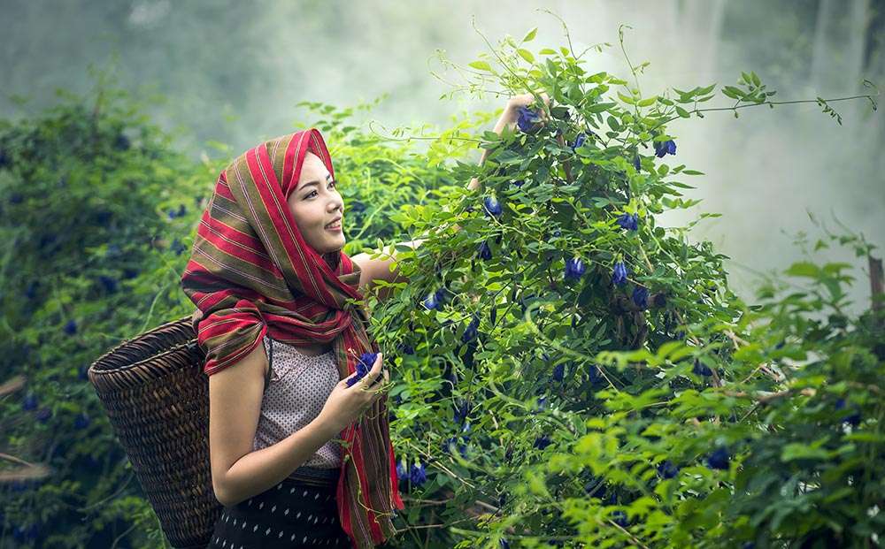 sống lành mạnh