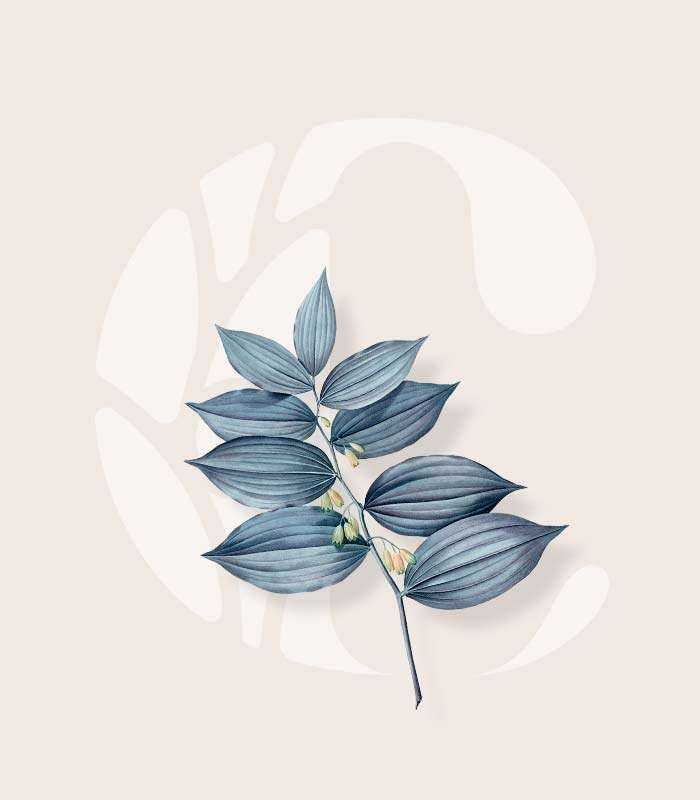 A brand for Community Health