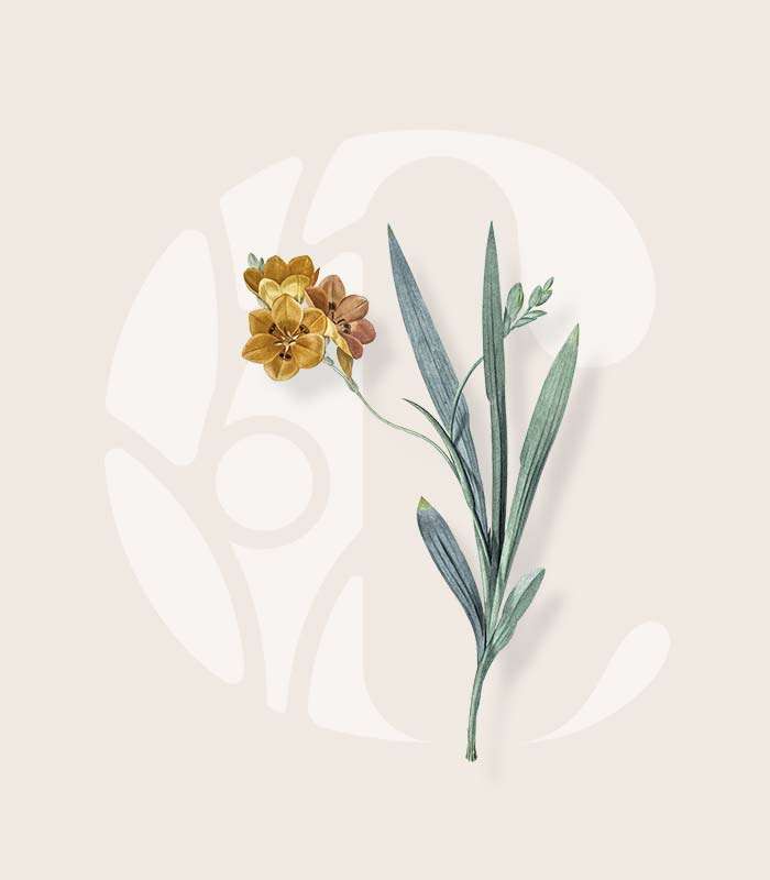 A brand for Community Health
