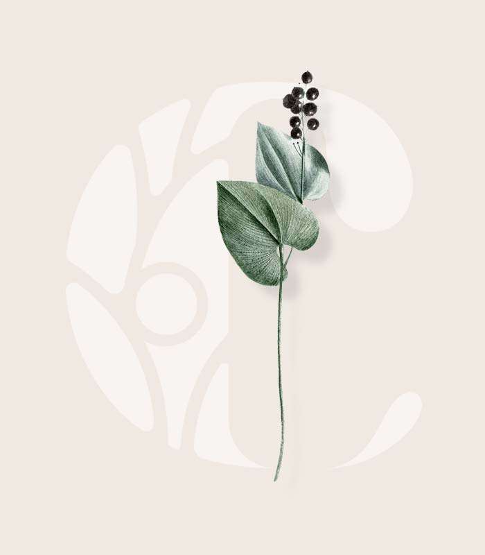 A brand for Community Health