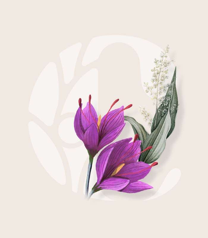 A brand for Community Health