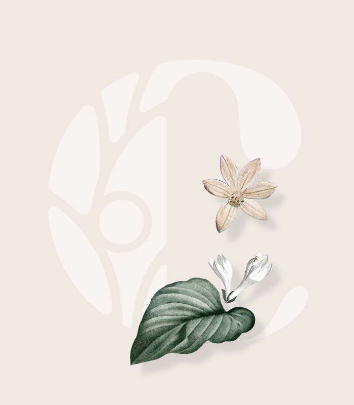 A brand for Community Health