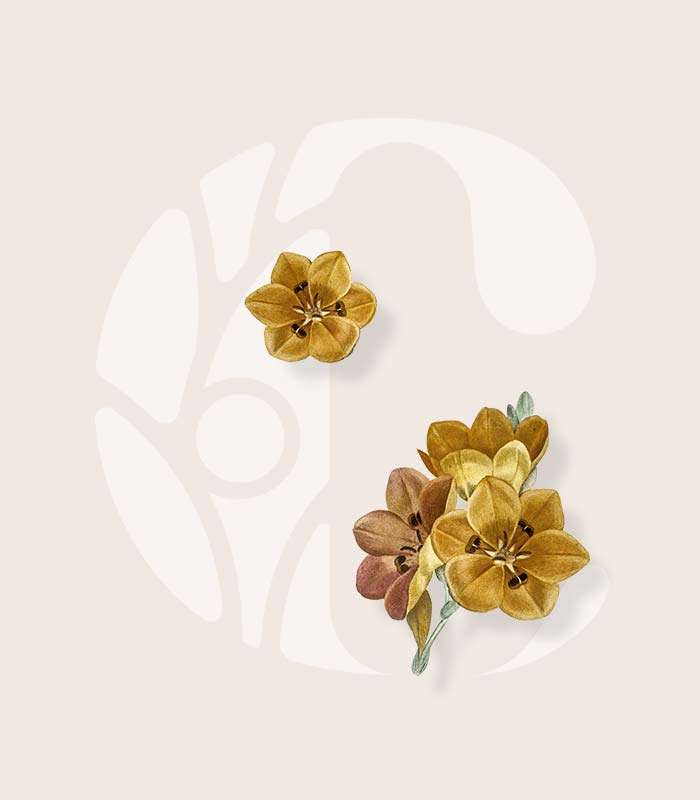 A brand for Community Health