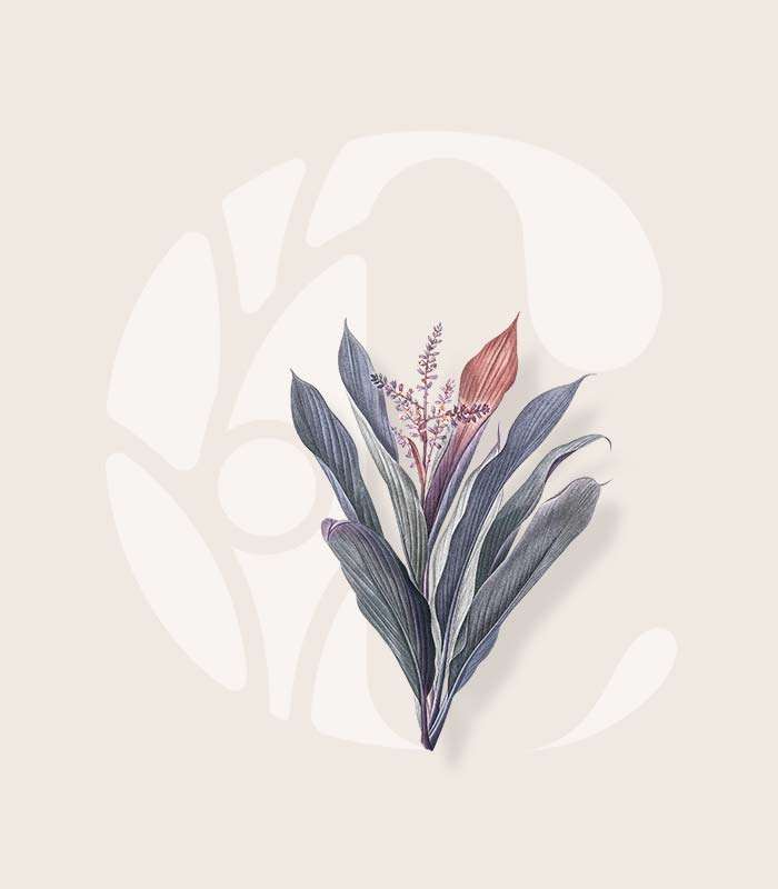 A brand for Community Health