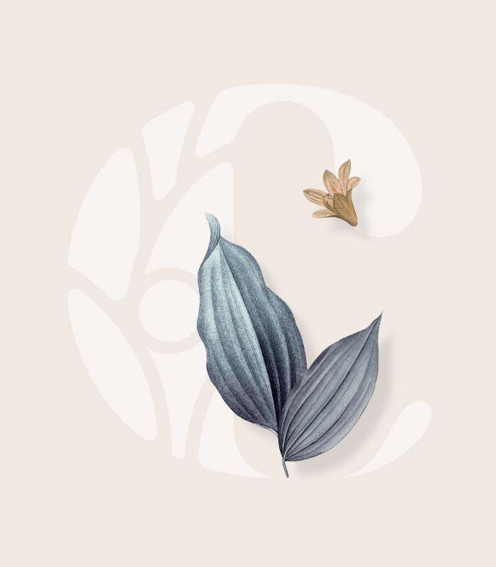 A brand for Community Health