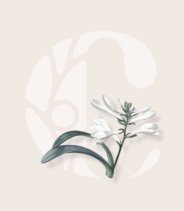 A brand for Community Health