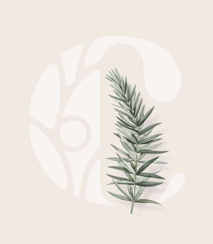 A brand for Community Health