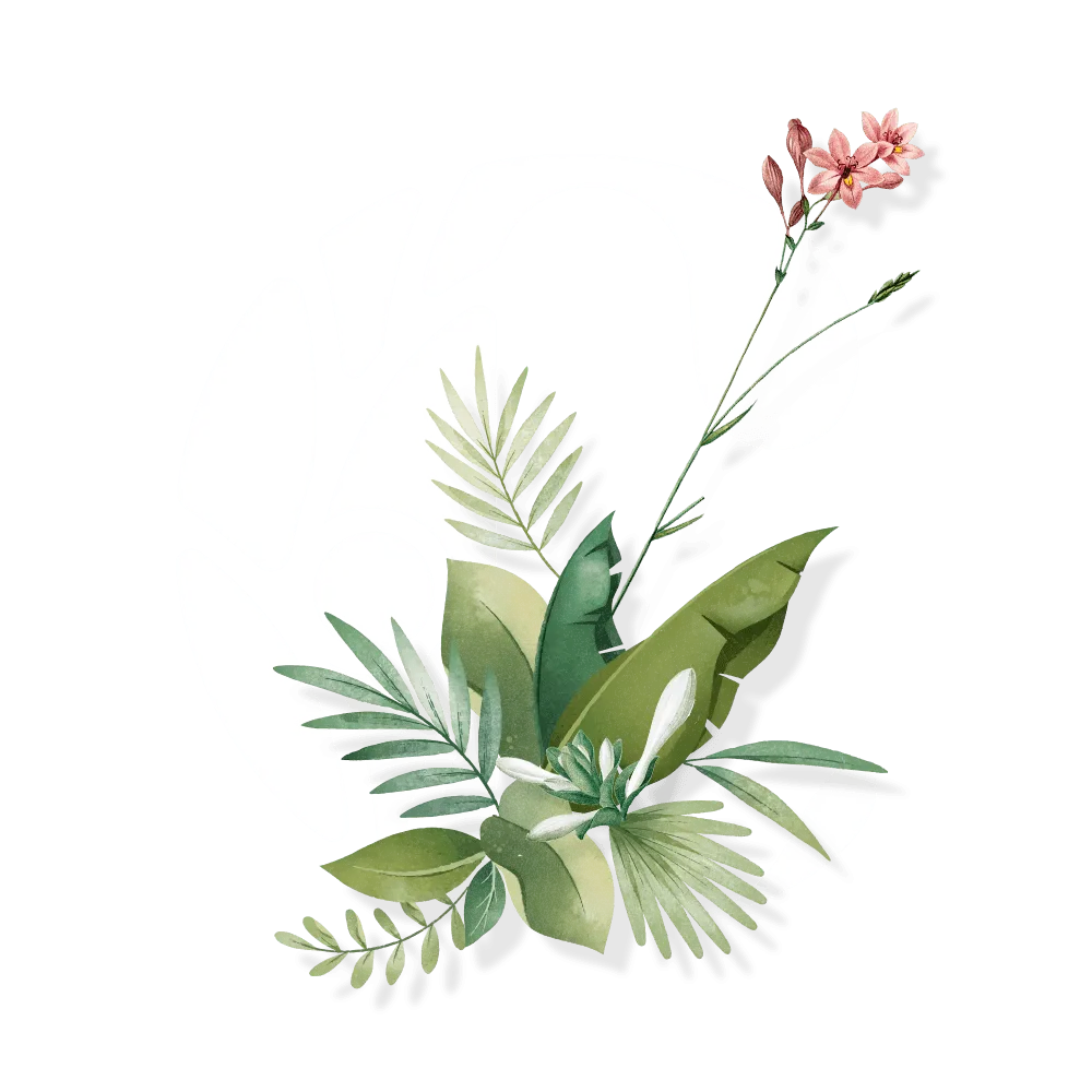 Câu chuyện của
Thương hiệu