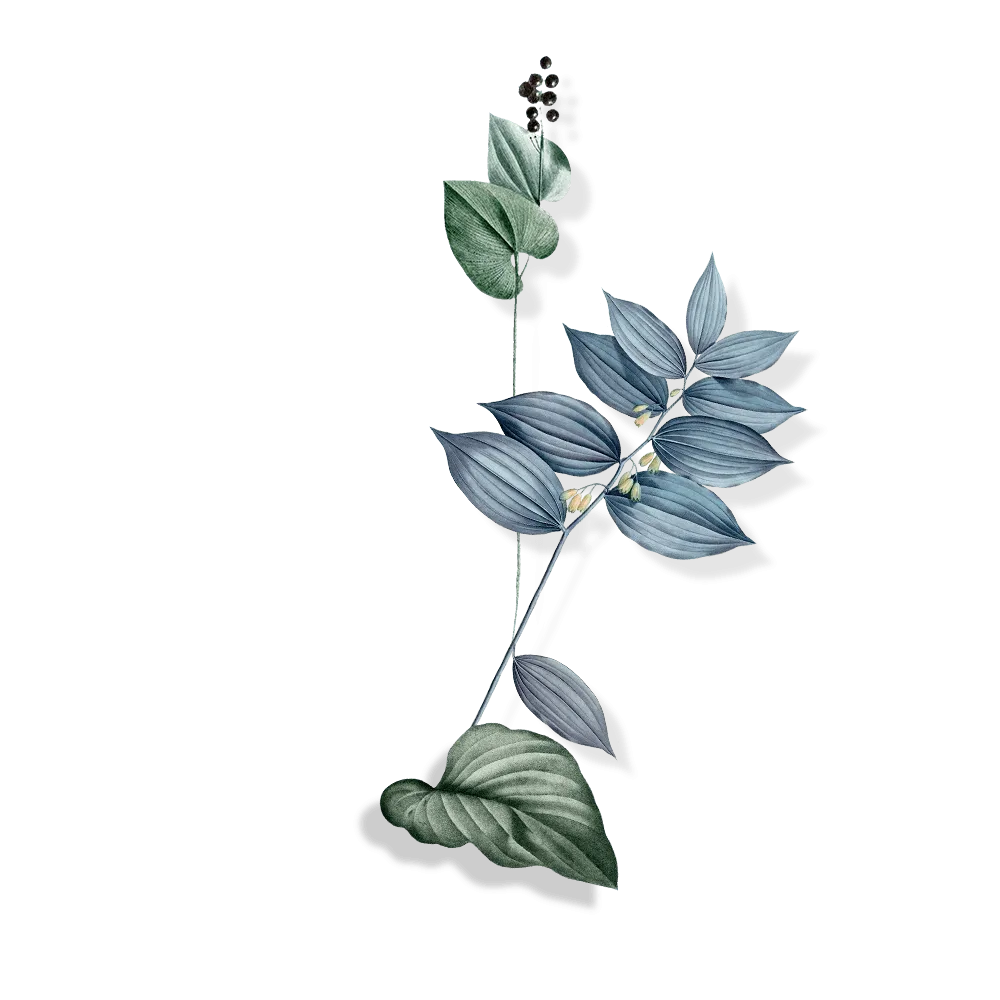 sống lành mạnh