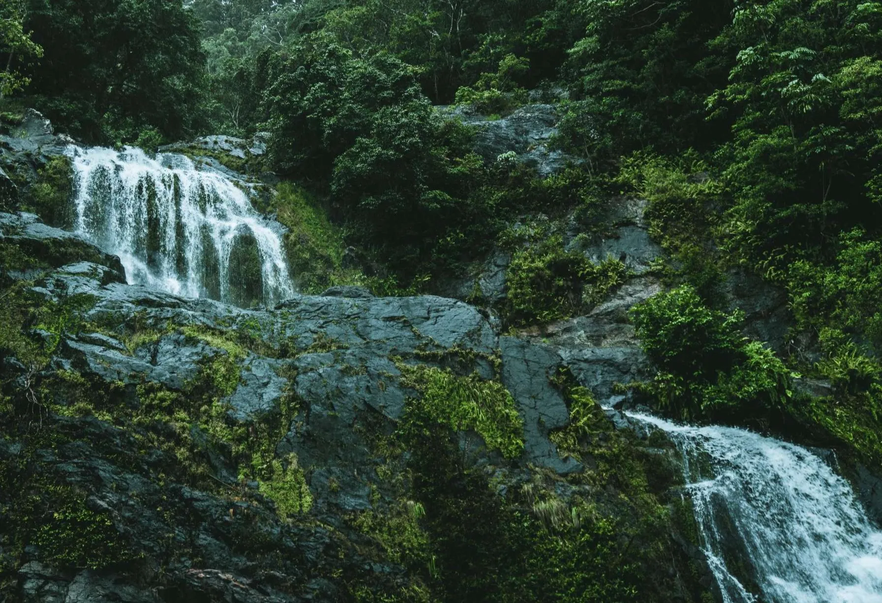 Hữu cơ