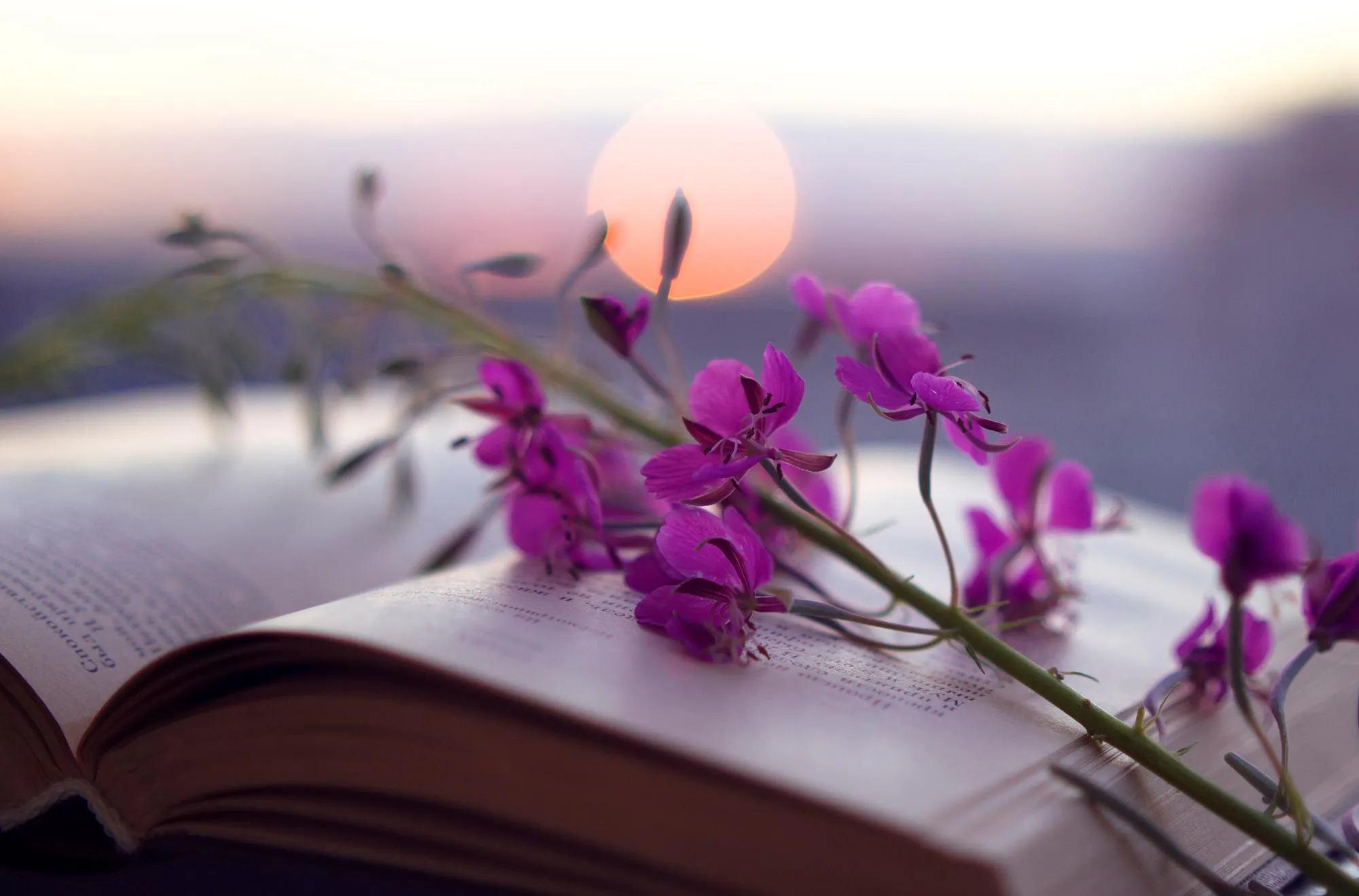 Tu dưỡng trí tuệ