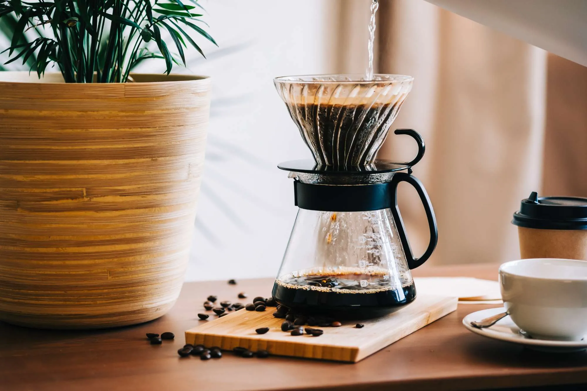[a] Coffee Roasters Robusta