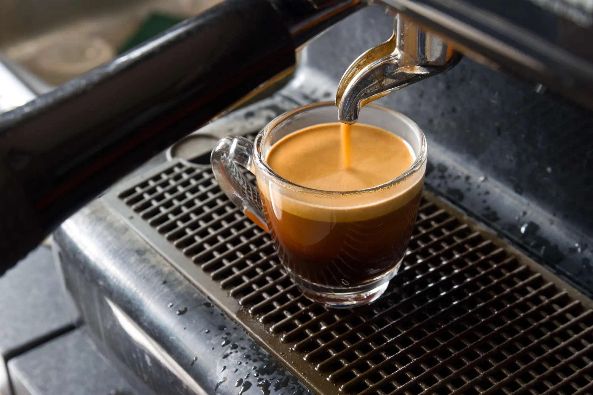 [a] Coffee Roasters Arabica