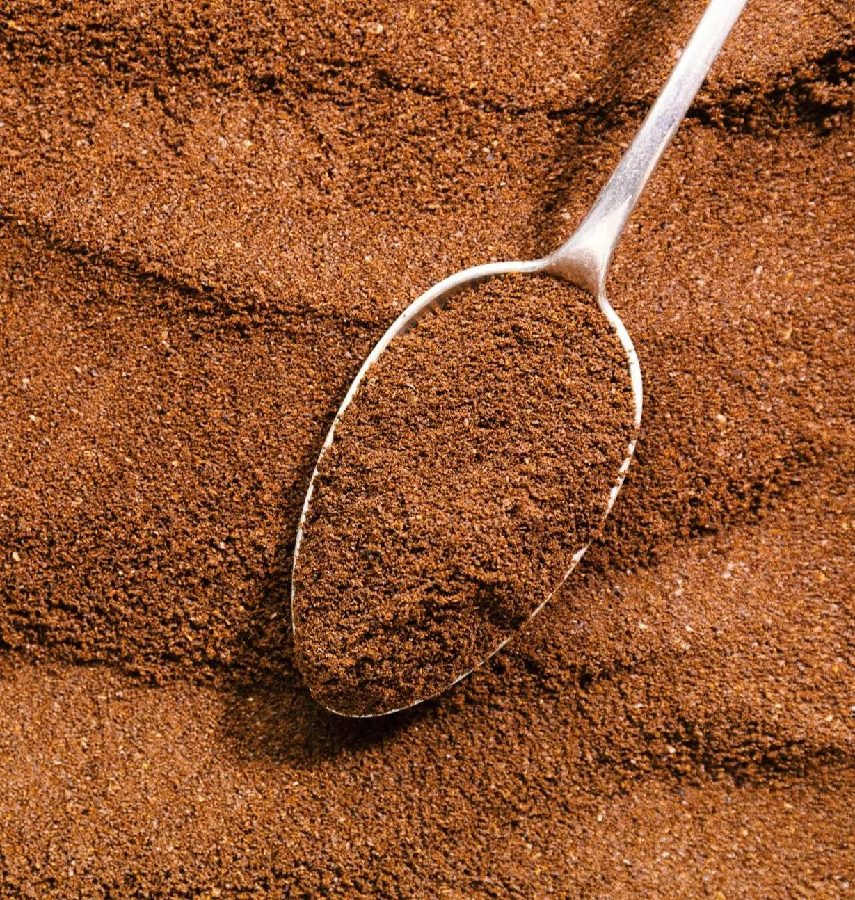 [a] Coffee Roasters Robusta pha trộn Arabica