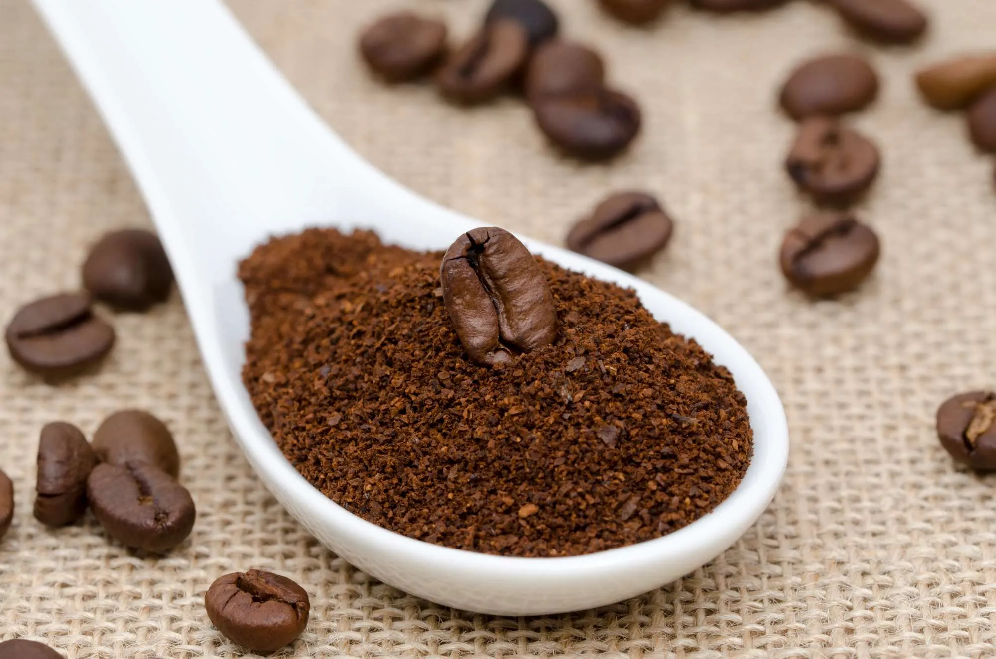[a] Coffee Roasters  Robusta
