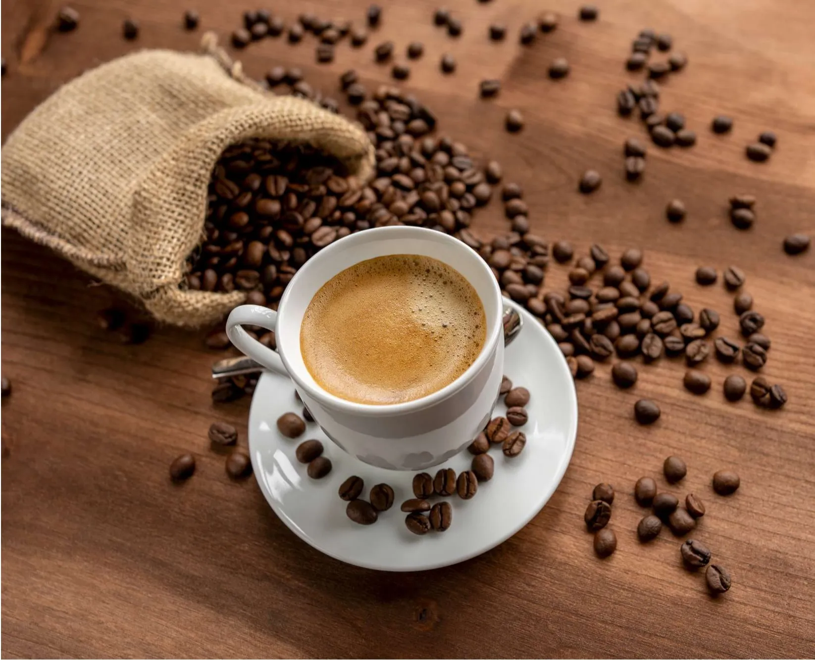 [a] Coffee Roasters  Robusta