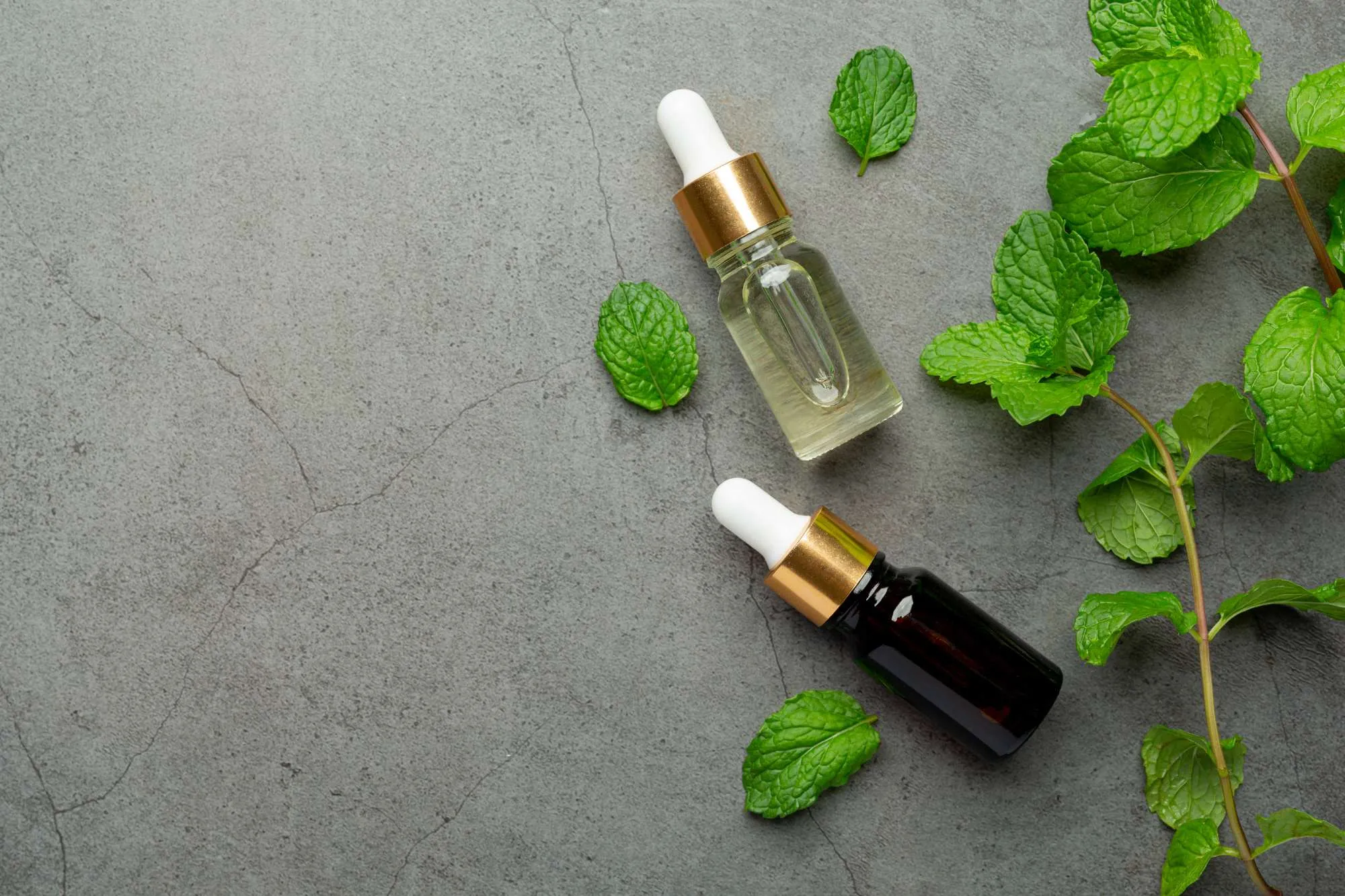 Tinh dầu Bạc Hà Organic