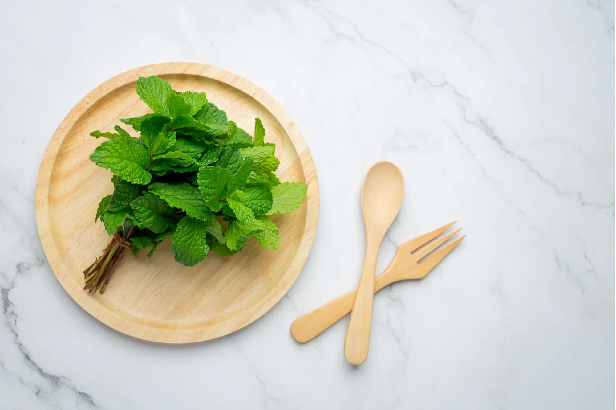 Gel tắm bí đao