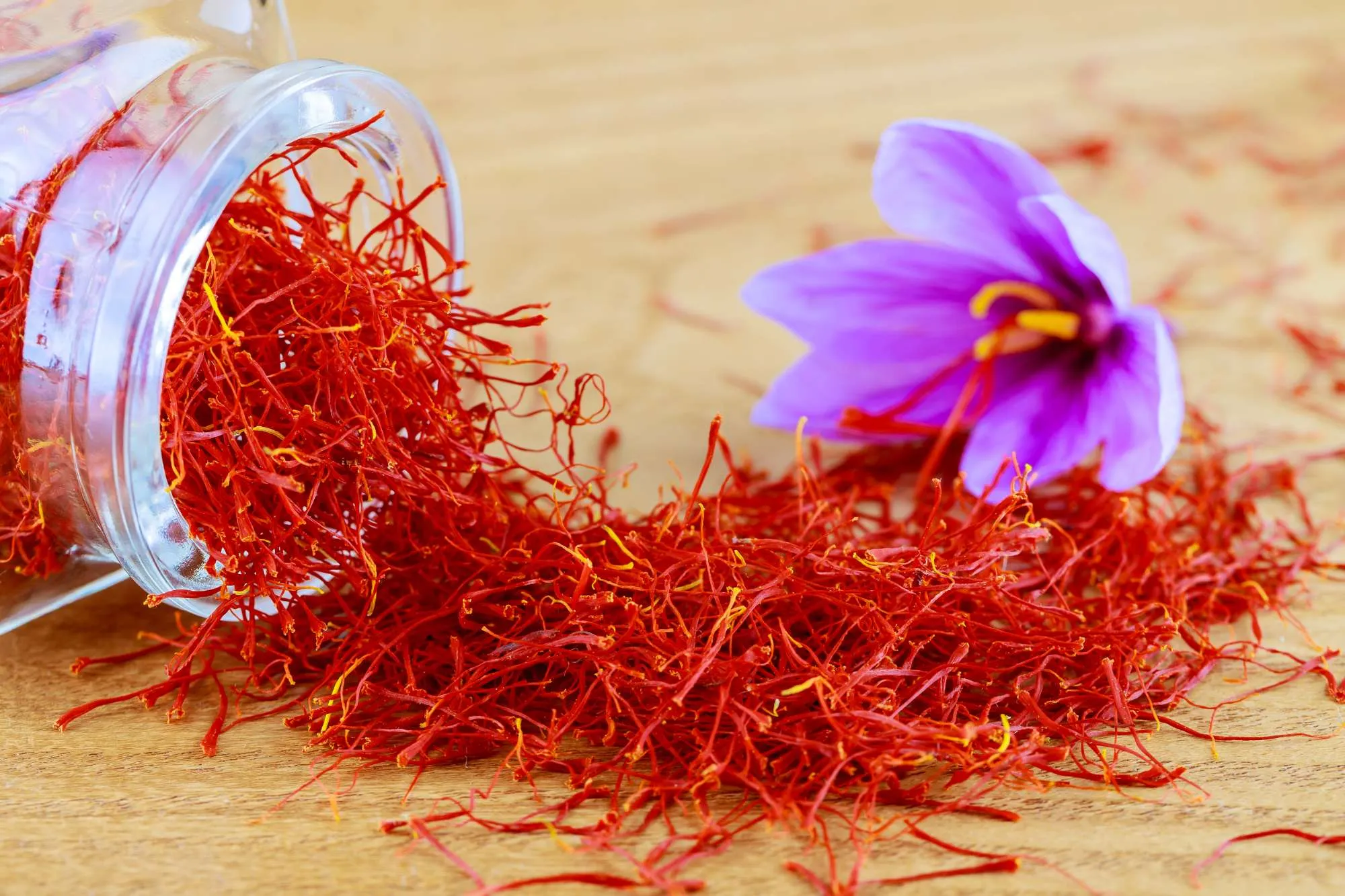 Negin Saffron Iran