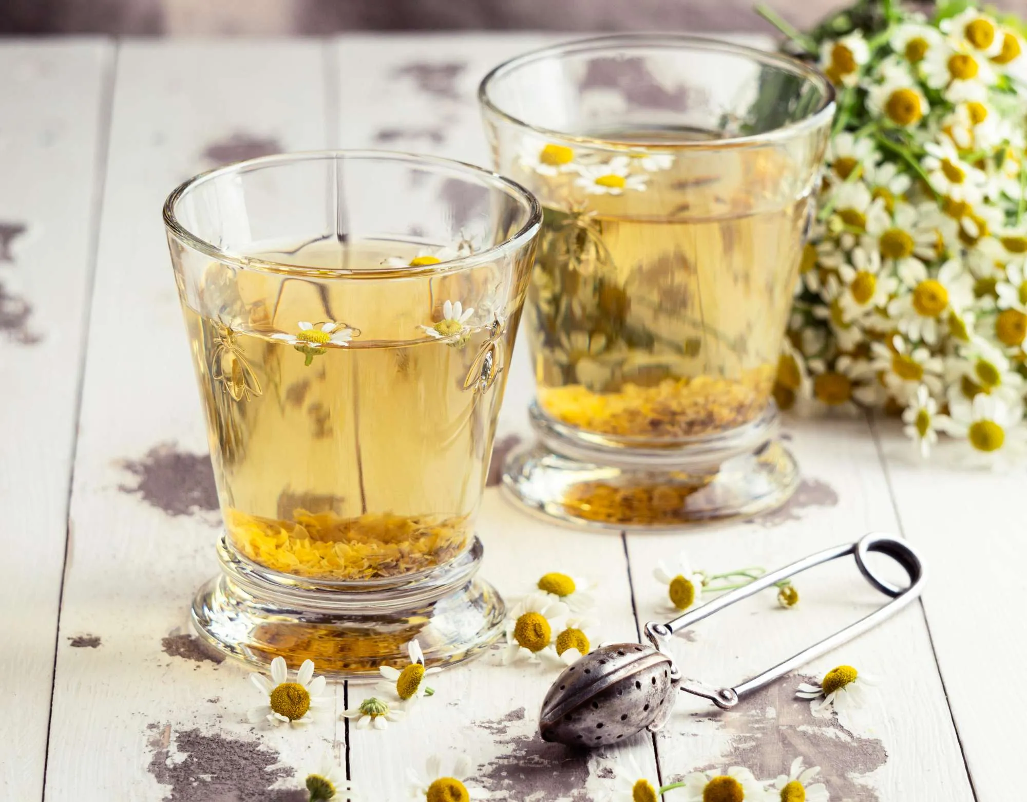 Trà hoa cúc La Mã Chamomile