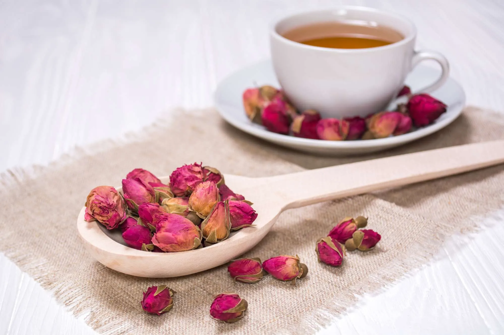 Trà hoa hồng Rosa Centifolia Trà hoa hồng Rosa Centifolia