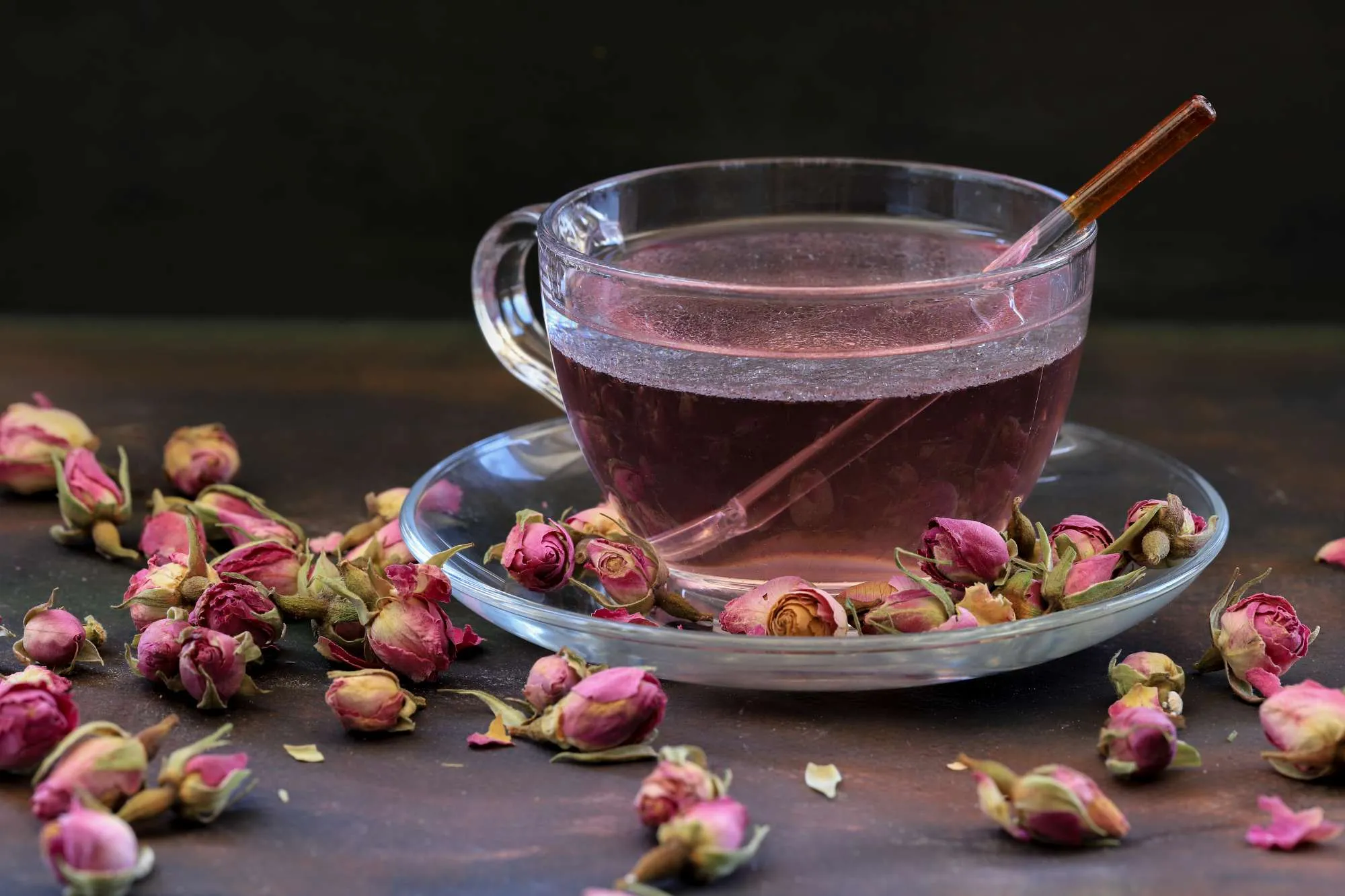 Trà hoa hồng Rosa Centifolia Trà hoa hồng Rosa Centifolia