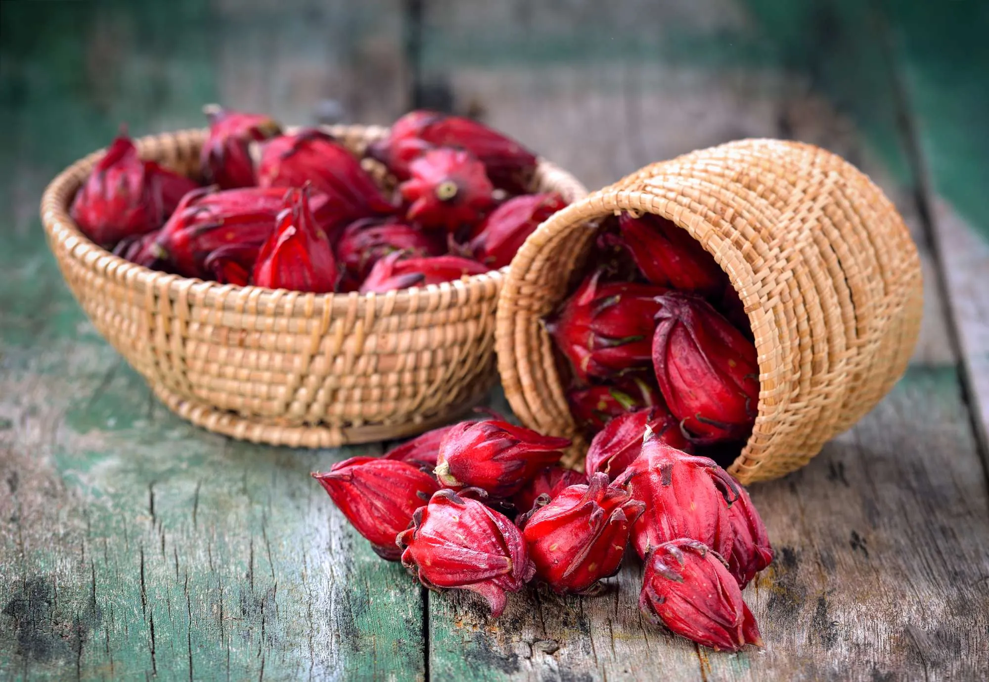 Trà actisô đỏ Hibiscus Sabdariffa Trà actisô đỏ Hibiscus Sabdariffa