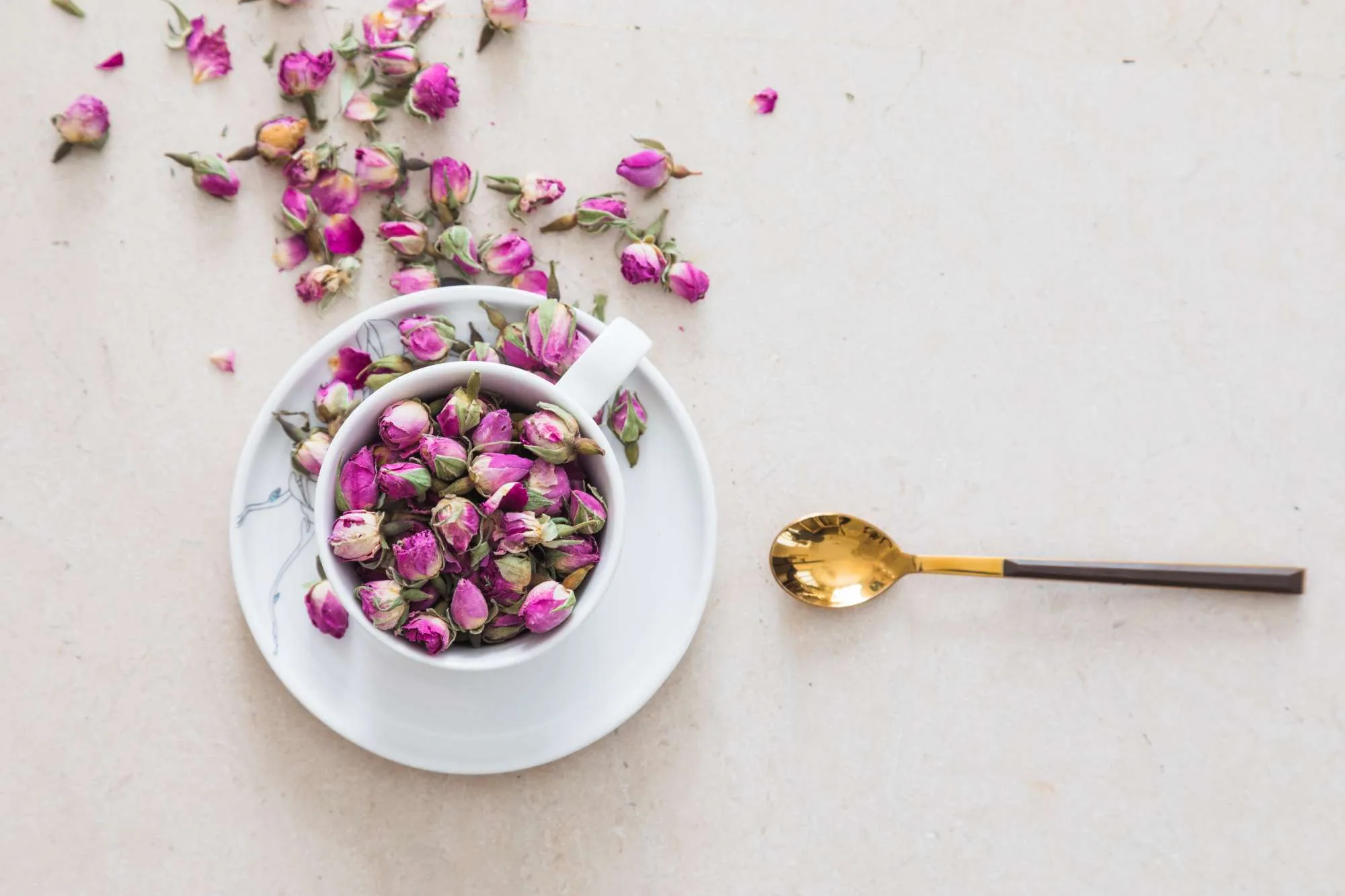 Trà hoa hồng Rosa Centifolia Trà hoa hồng Rosa Centifolia