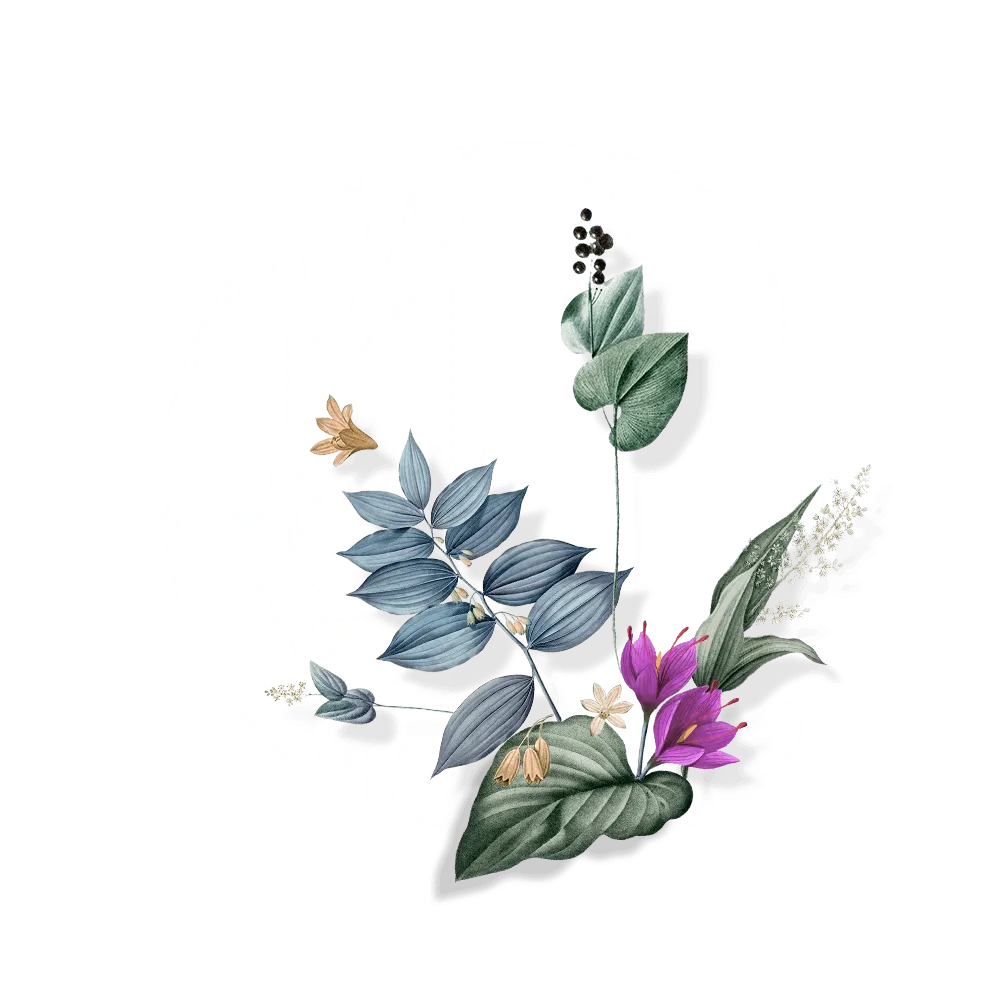 The story of  Crocus Origin