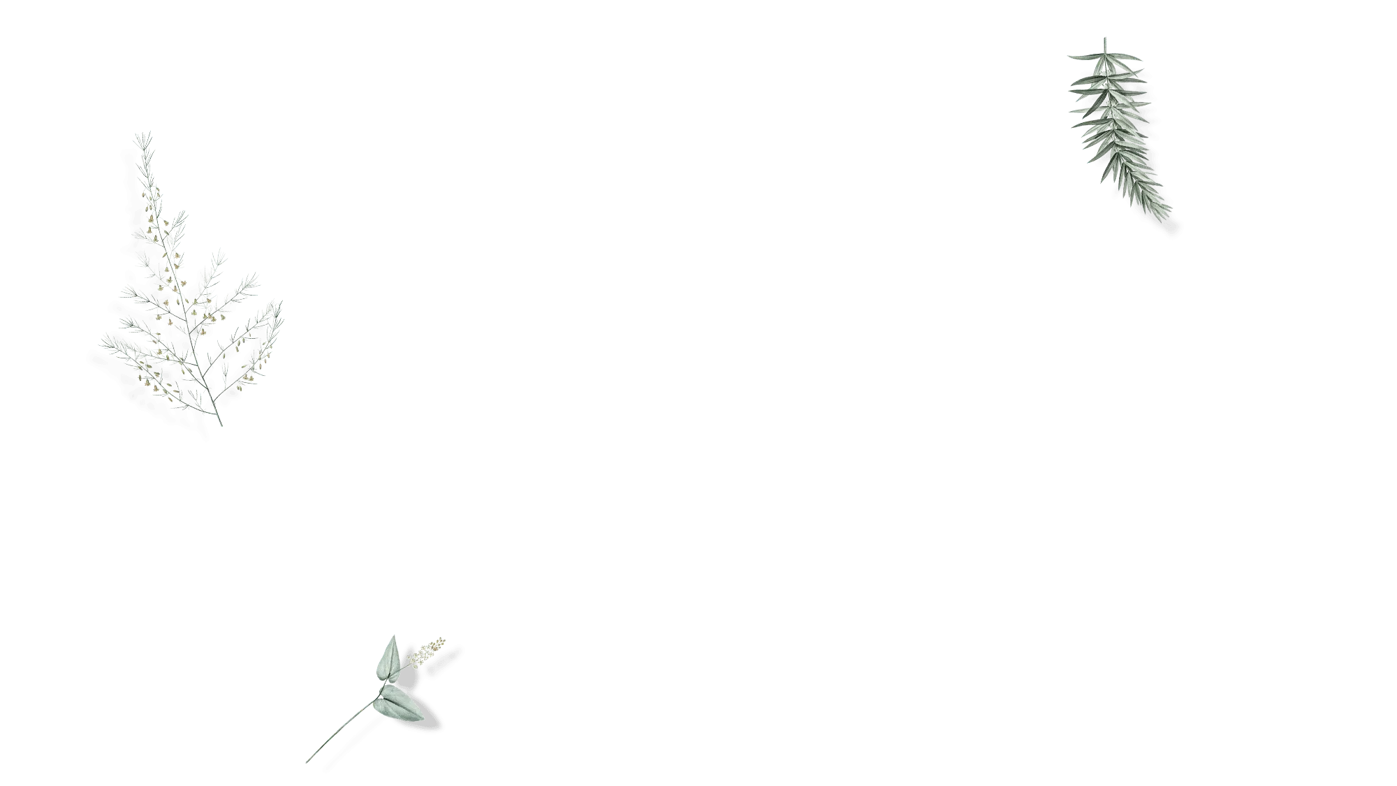 Why choose Crocus Origin